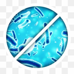 Carpet Cleaning For Schools - Bacteria Imaging png