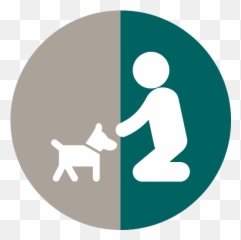 Jonesboro Animal Hospital Veterinarian Pet - Dog png