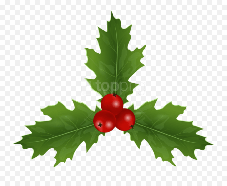 Christmas Holly Mistletoe Png - Canadian Flag Sticker,Christmas Holly Png