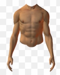 Ht Png Torso