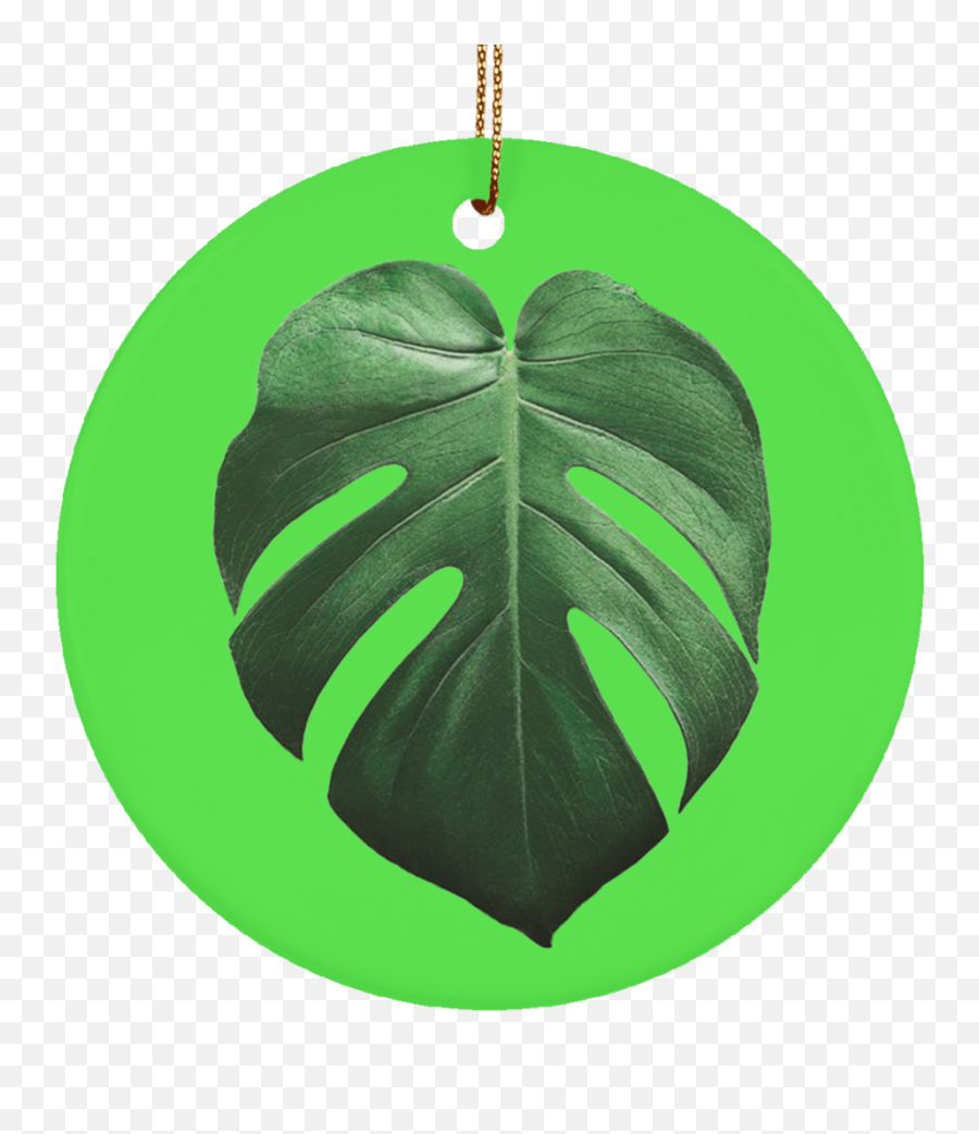Tropical Leaf Ornament - Swiss Cheese Plant Png,Tropical Leaf Png
