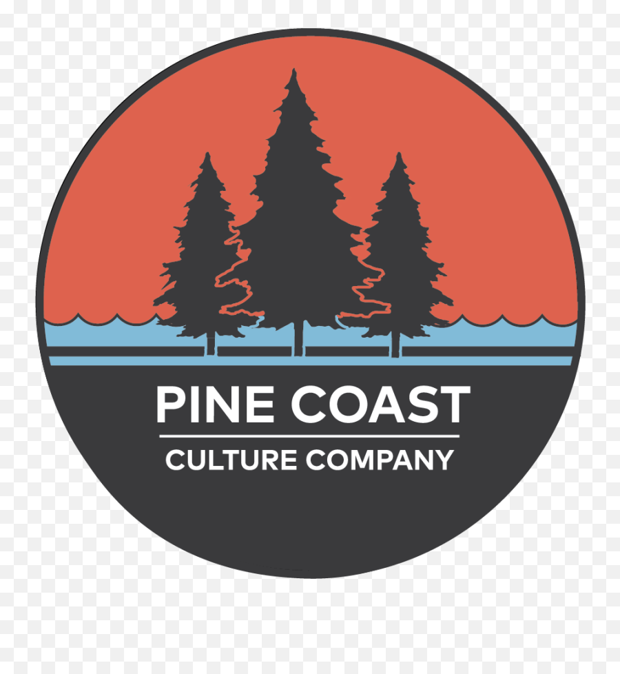 Pine Coast Culture Company - Christmas Tree Png,Chris Pine Png