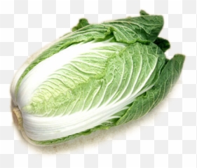 Chinese Cabbage Transparent Background - png
