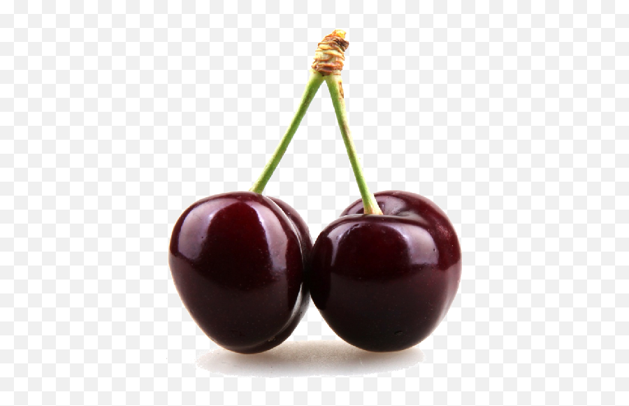 Black Cherry Png Clipart - Black Cherry Png,Cherry Png
