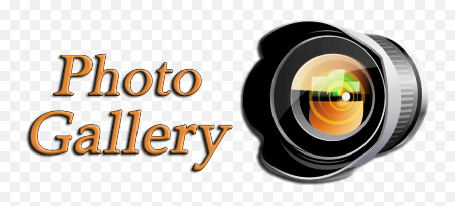 Gallery - Gallery Image In Png,Gallery Png