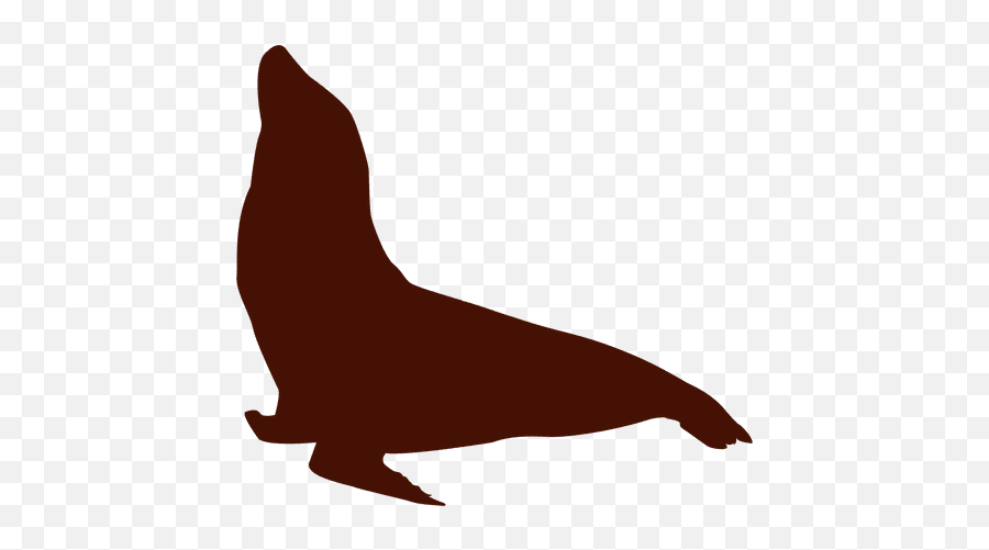 Pin - California Sea Lion Silhouette Png,Lion Silhouette Png