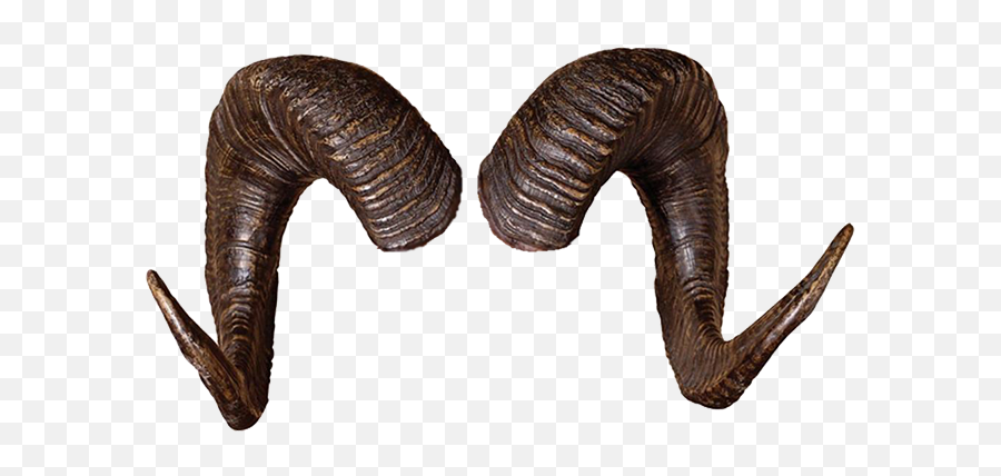 Ram Horns Png 3 Image - Tiefling Horns Png,Horns Png