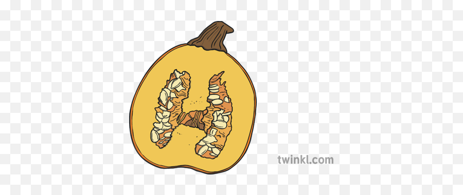 Ks1 Inside Pumpkin Illustration - Twinkl Illustration Png,Cartoon Pumpkin Png