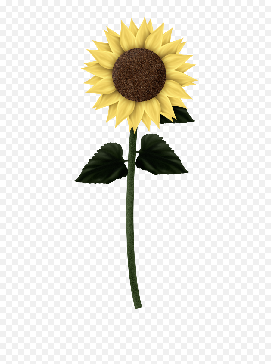 Sunflower Clipart Tall - Sunflower Gif Transparent Background Png,Sunflower Transparent Background