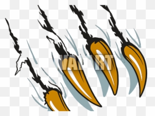 Download Clip Art Bear Claws Hd Png - uokplrs Scratch Vector