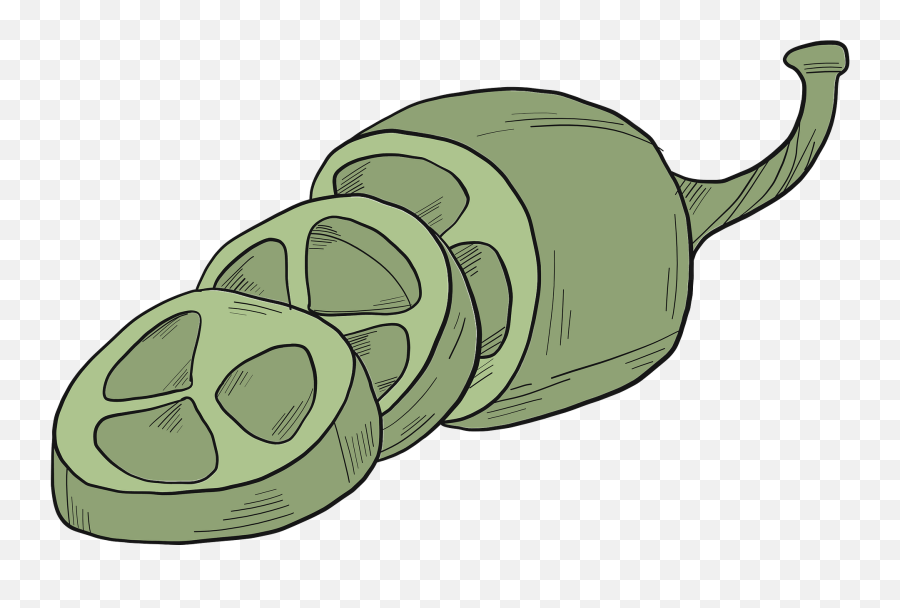 Jalapeno Clipart Free Download Transparent Png Creazilla - Tortoise,Jalapeno Png