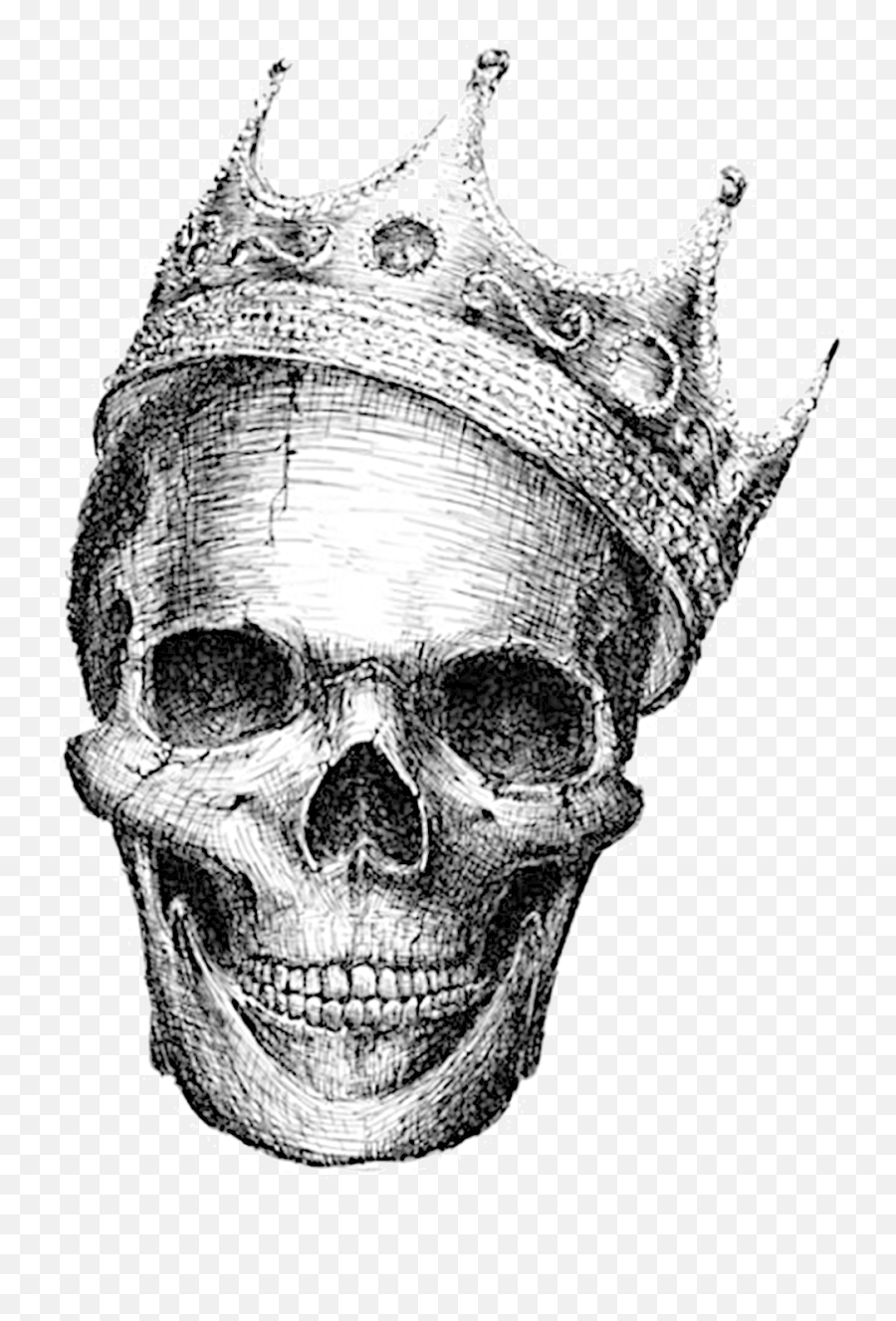Download Skeleton Skull Calavera Human - Skull Tattoos Sketch Png,Calavera Png