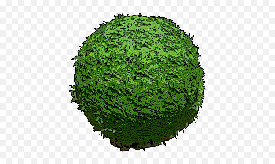 Round Hedge Mobile - Official Ark Survival Evolved Wiki Circle Png,Hedge Png