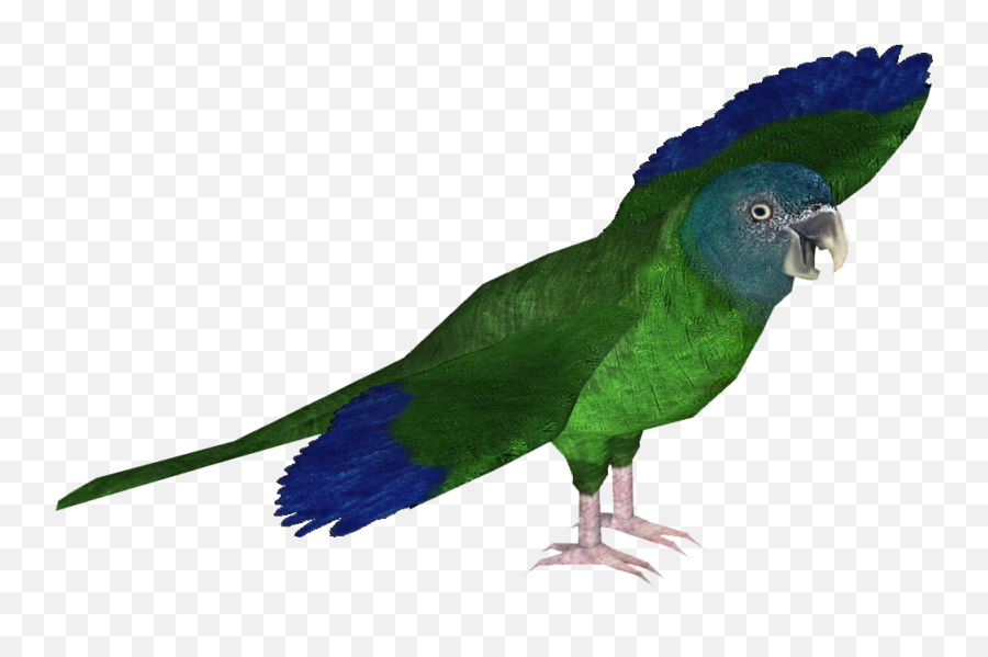 Download Blue - Headed Macaw Zt2 Macaw Full Size Png Image Parrots,Macaw Png
