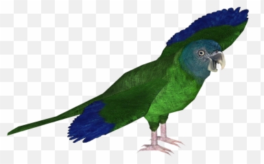 Download Blue - Headed Macaw Zt2 Macaw Full Size Png Image Parrots,Macaw Png