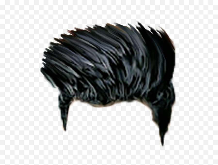 Hair Png Free Download - Hair Style Png Man,Hairstyle Png