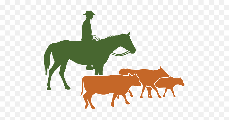 Arizona Beef Council - Cattle Raising Png,Cattle Png