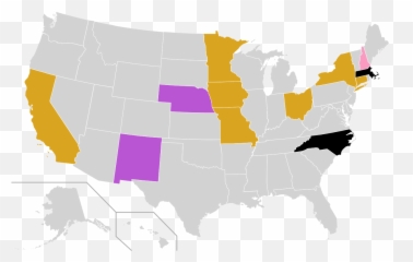 2020 Libertarian Party Presidential - States Are Allowing Youth Sports Png,Libertarian Icon