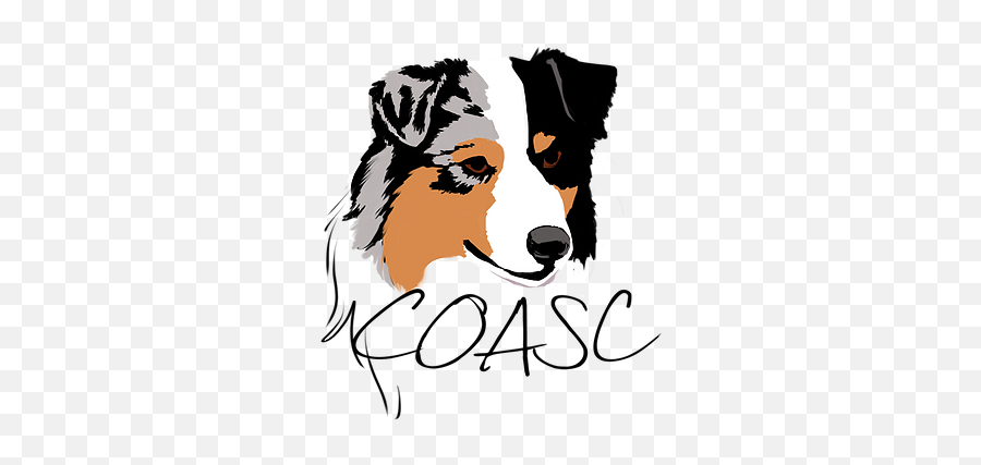 Central Ontario Australian Shepherd - Northern Breed Group Png,Australian Shepherd Icon