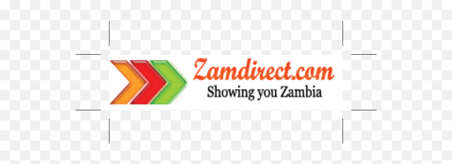Zamdirectcom Logo Download - Logo Icon Png Svg Horizontal,Direct Line Icon