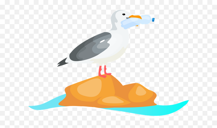 Sea Illustrations Images U0026 Vectors - Royalty Free Bird With Plastic In Beak Png,Angry Birds Seasons Icon