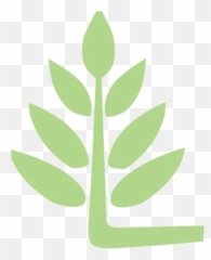 Preschools In Fairfield County Plus Day Care And Toddler - Clip Art Png,St Catherine Of Siena Icon