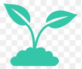 Variegated Aloe For Sale Succulent Care Guide - Succulents Box Growing Plant Icon Png