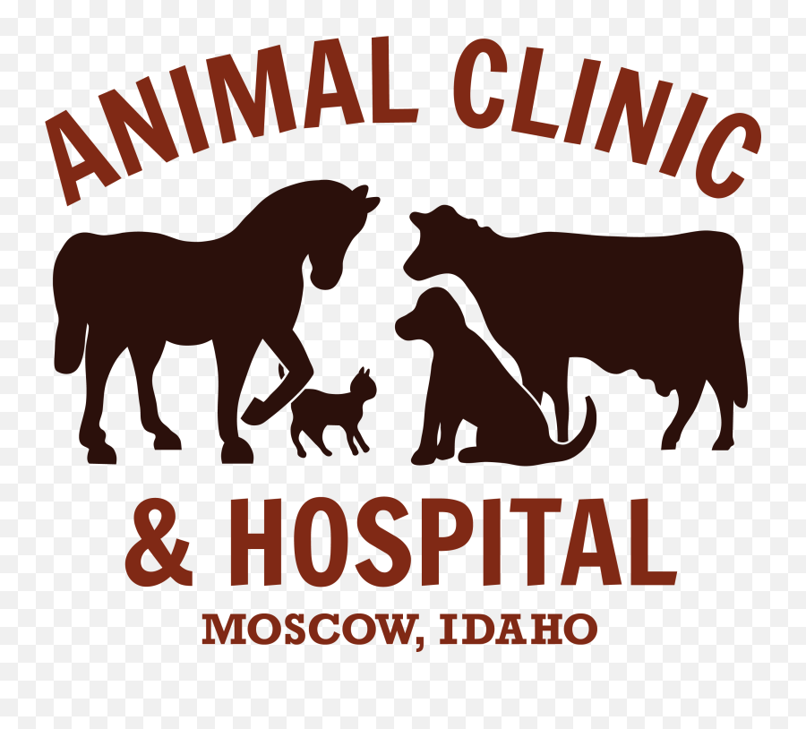 Facebook Archives - Animal Clinic U0026 Hospital Png,Facebook Icon 2016