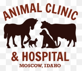 Facebook Archives - Animal Clinic u0026 Hospital png