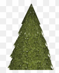 Evergreen - Christmas Tree png