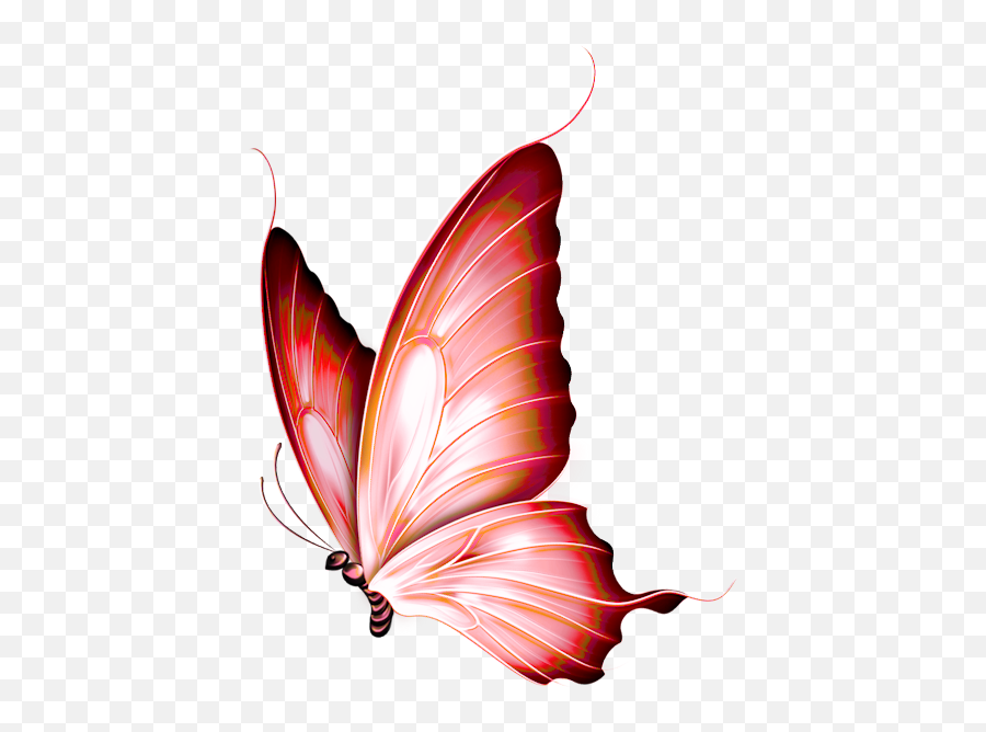 Dieren Painting - Butterfly Painting Png,Butterfly Png Clipart