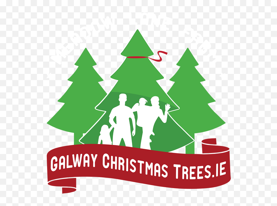 Galway Christmas Trees U2013 Xmas - Christmas Day Png,Christmas Logo Png