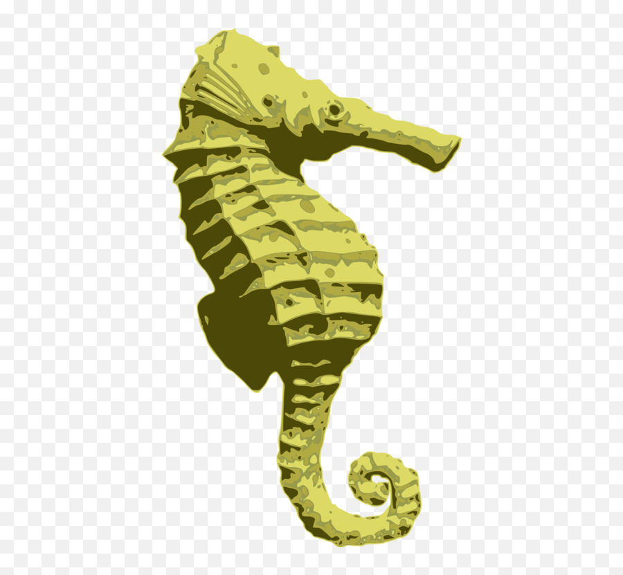 Reptilesyngnathiformesseahorse Png Clipart - Royalty Free Seahorses,Seahorse Png