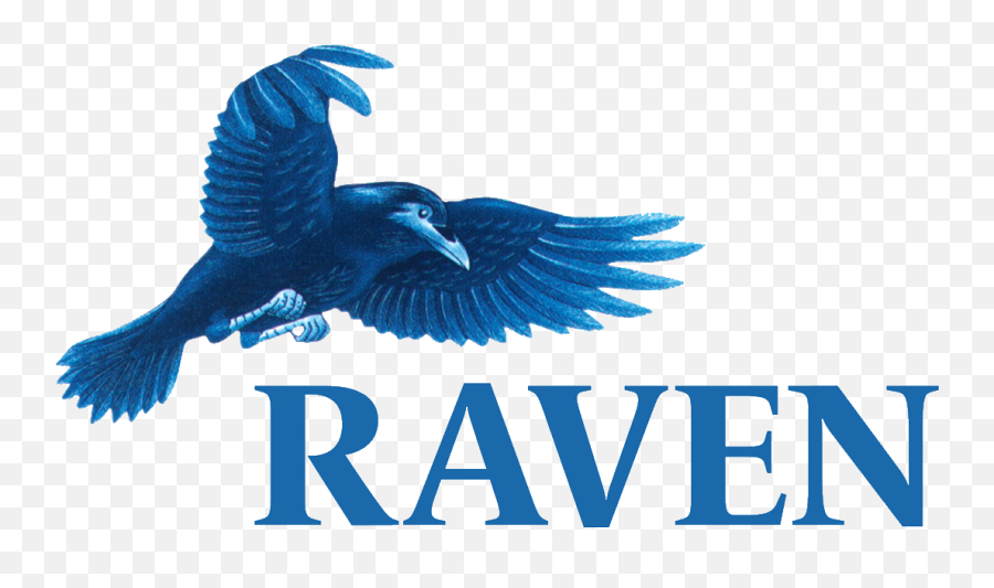 Raven Computers Quality It Services For The North Of England - Raven Computers Png,Raven Transparent