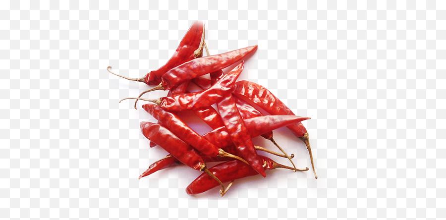 Red Chilly - Dry Chillies Png,Chili Png