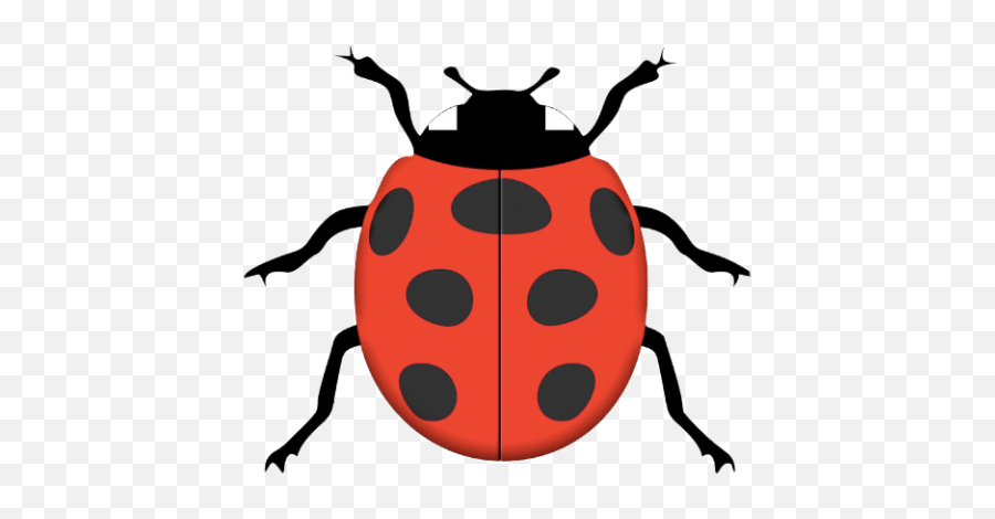 Tags - Ladybug Graphic Design Png,Ladybug Png