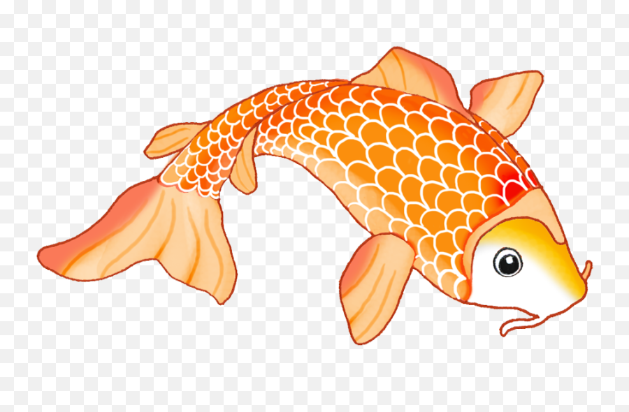 Siamese Fighting Fish Drawing Clip Art - Koi Fish Clipart Png,Koi Png