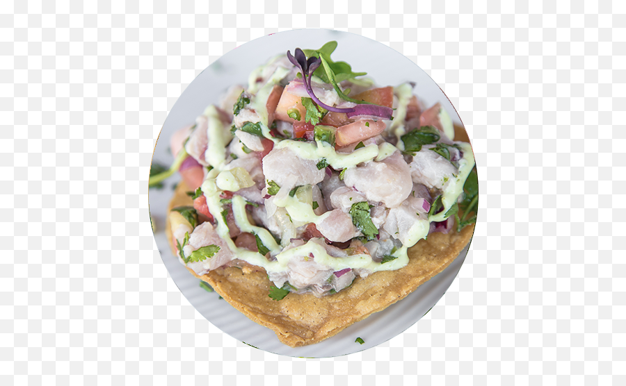 Ceviche De Pescado - Ceviche De Pescado Png,Ceviche Png