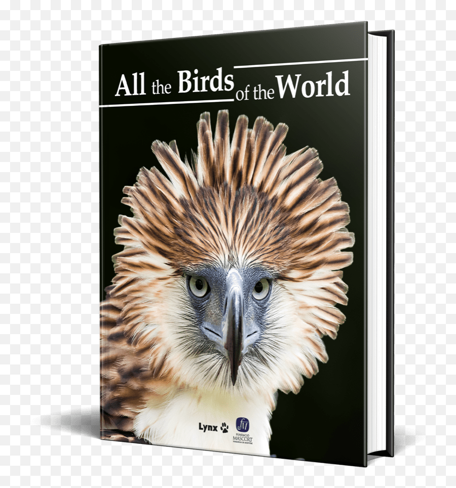 Lynx Edicions U2013 Publishers Of The Highly Acclaimed Handbook - Change You Want To See Png,Birds Transparent