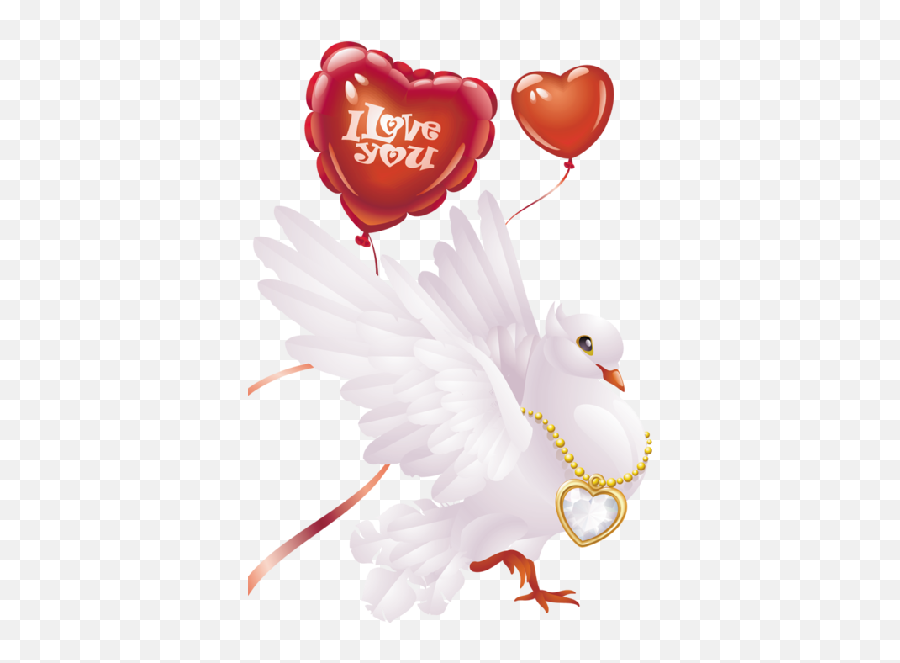 White Doves - Wedding Pictures Wedding Transparent Pigeon Png,White Doves Png