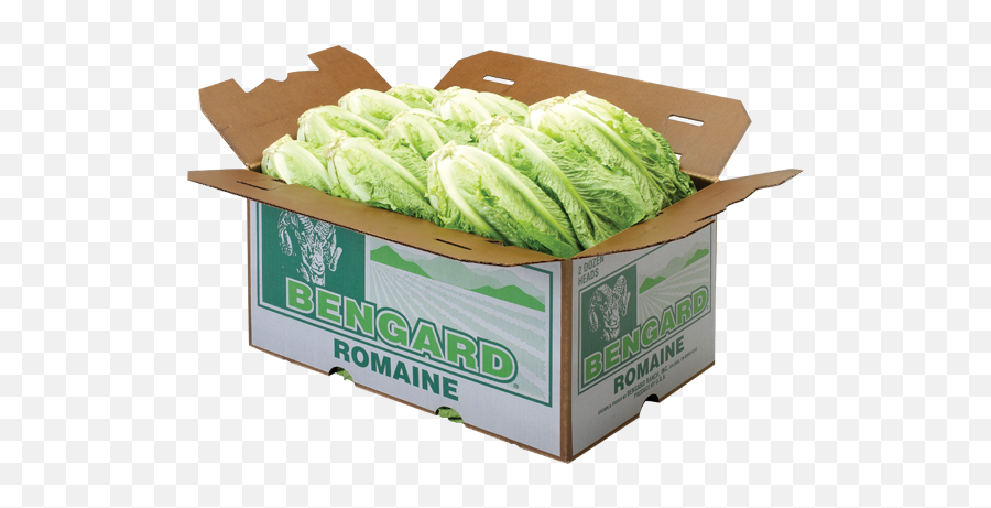 Bengard Ranch Romaine Lettuce - Bengard Ranch Packaging And Labeling Png,Romaine Lettuce Png