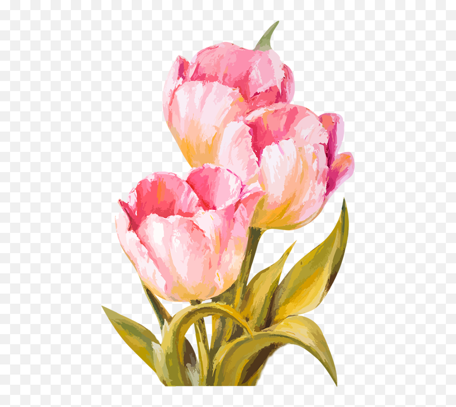 Download Hd Tubes Fleurs Pinterest Flowers - Watercolor Tulips Flower Watercolor Png,Tulips Transparent Background