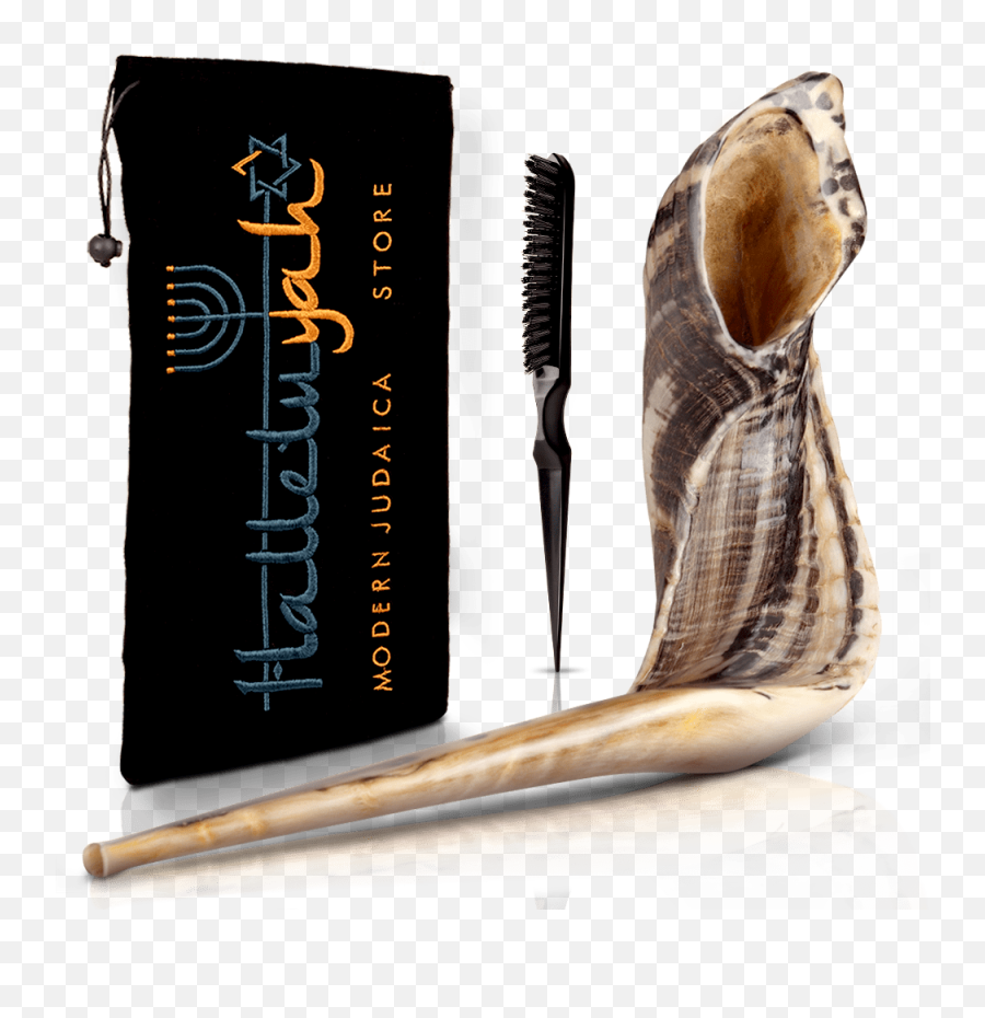 Ram Horn Shofar With Bag Clean Brush - Shofar Png,Shofar Png