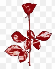 Depeche Mode - Violator Rose png