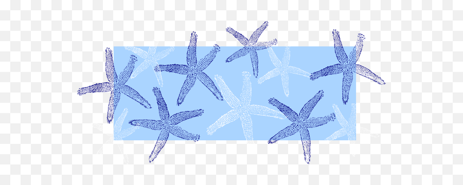 Starfish Illustrations And Clipart 1 Free Image 5 - Clip Art Blue Seashell Png,Starfish Transparent
