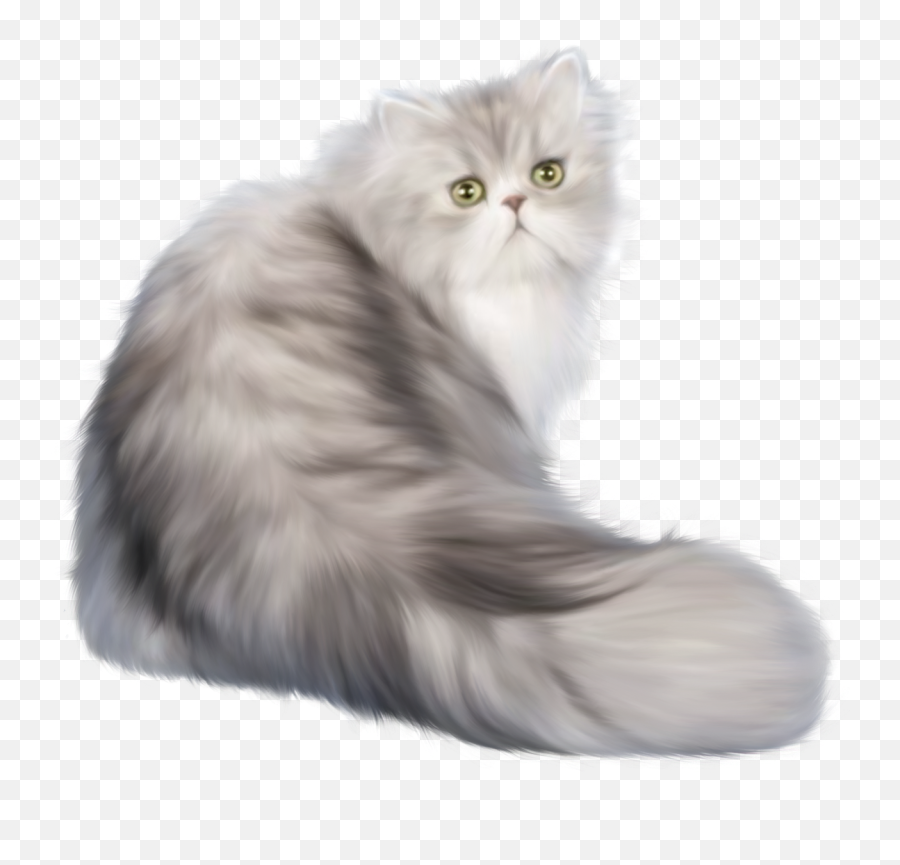 Cat Png Clip Art - Persian Cat Png,Cat With Transparent Background