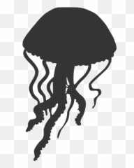 Jellyfish Png - Transparent Background Clipart