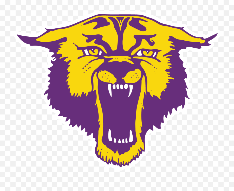 News - Bloomfield Wildcats Png,Wildcat Icon