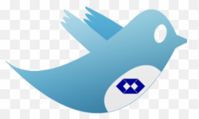 Adm E Gestão Admegestao Twitter - Bird png
