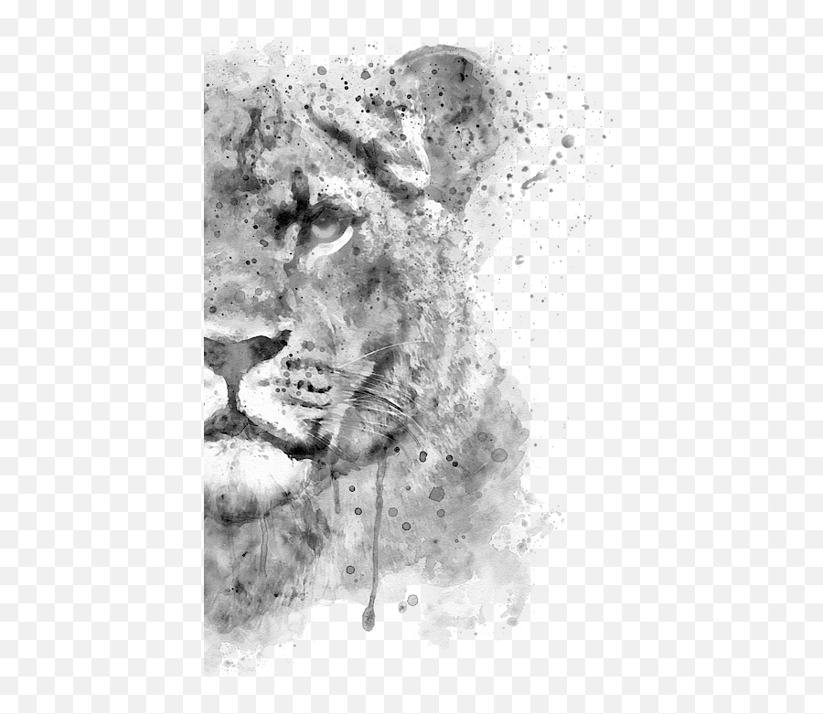 Black And White Half Faced Lioness Puzzle For Sale By Marian - Half Lion Half Lioness Painting Png,Lioness Icon